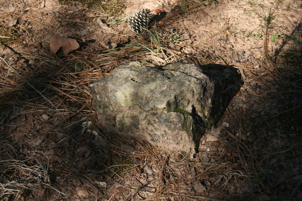 RobertsonJWCrumbledStone